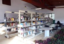 Biblioteca Gracinda dos Anjos celebra o Dia Mundial do Meio Ambiente com atividade artística para crianças