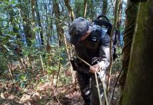 GCM prepara agentes para atuar na fiscalização e na proteção ambiental da cidade