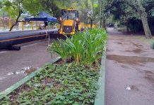 Trecho da pista de caminhada do Bosque Maia está interditada para intervenção da Sabesp