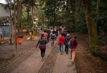Parque Chico Mendes oferece atividades físicas e conexão com a natureza