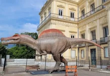 Museu Nacional ganha réplica de dinossauro brasileiro com 15 metros