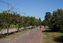 Prefeitura implanta 60 novos pontos de iluminação na Ciclovento