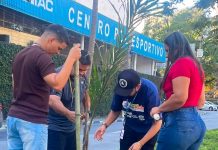 Prefeitura planta 365 mudas de árvores nativas da Mata Atlântica ao longo de junho