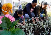 Casa da Mulher Recreio São Jorge ganha canteiros com plantas e flores ornamentais