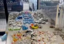 GCM de Guarulhos prende traficante com mais de 3 kg de drogas nos Pimentas