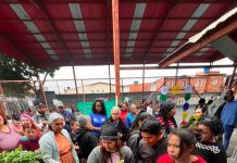 Prefeitura distribui 700 mudas de árvores durante evento de apoio ao imigrante