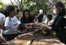 Guarulhos tem agenda de férias recheada de atividades gratuitas