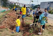 Prefeitura convida para plantio de 100 árvores nativas da Mata Atlântica no Jardim Acácio