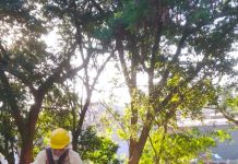 Prefeitura realiza serviços de roçagem e limpeza na Praça dos Aviadores, no Jardim Cocaia