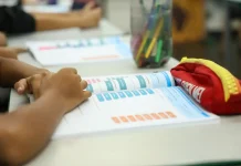 Educação política passa a integrar currículo escolar brasileiro