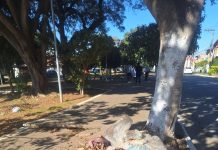 Prefeitura promove ação de limpeza em travessia da avenida Salgado Filho