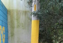 Prefeitura de Guarulhos realiza limpeza e remoção de resíduos na Estrada David, no Cabuçu