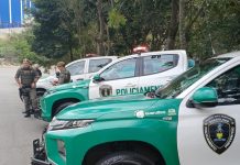 GCM impede duas tentativas de invasão em Área de Preservação Permanente no Continental 2