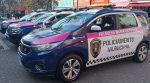 GCM prende homem por violência doméstica no Picanço