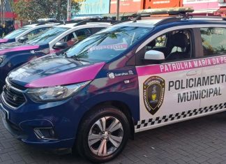 GCM prende homem por violência doméstica no Picanço