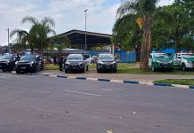 GCM salva bebê de 20 dias engasgado no bairro Cidade Soberana