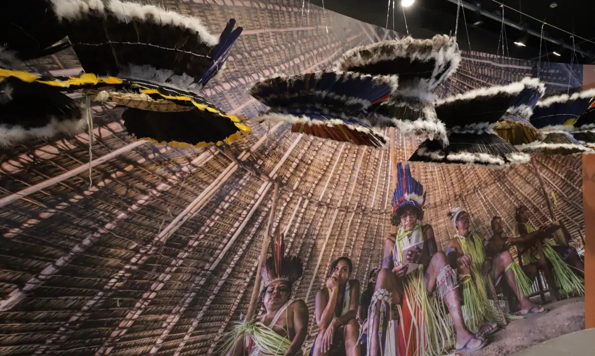 exposicao_esta_sendo_montada_no_centro_de_exposicoes_eduardo_galvao_foto_woltaire_masaki_-_mpeg
