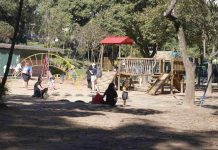 Zoológico celebra o Dia da Árvore com circuito interativo e trilha sobre saúde mental