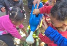 Projetos de horta e múltiplas linguagens estimulam o desenvolvimento integral das crianças na EPG Tizuko Sakamoto