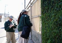 Prefeitura realiza combate à dengue em mais de 50 locais em cinco dias