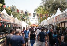 Cultura nordestina agita o Lago dos Patos em outubro com o Festival Vixi Maria