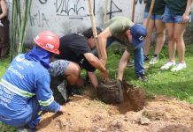 Jardim City recebe o plantio de 100 mudas de árvores nativas da Mata Atlântica