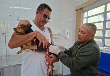 Vacinação de cães e gatos contra a raiva ocorre nesta quinta no CCZ de Guarulhos