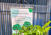 Prefeitura distribui 400 mudas de árvores nativas neste sábado na região da Vila Galvão