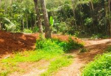 GCM de Guarulhos flagra crime ambiental no Parque Estadual Itaberaba