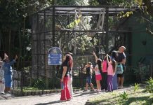 Zoológico Municipal de Guarulhos realiza seletiva para estágio no primeiro semestre de 2027
